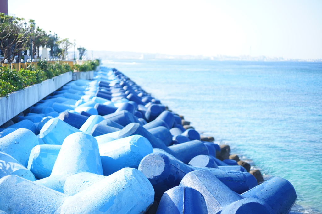 Blue tetrapod