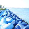 Blue tetrapod