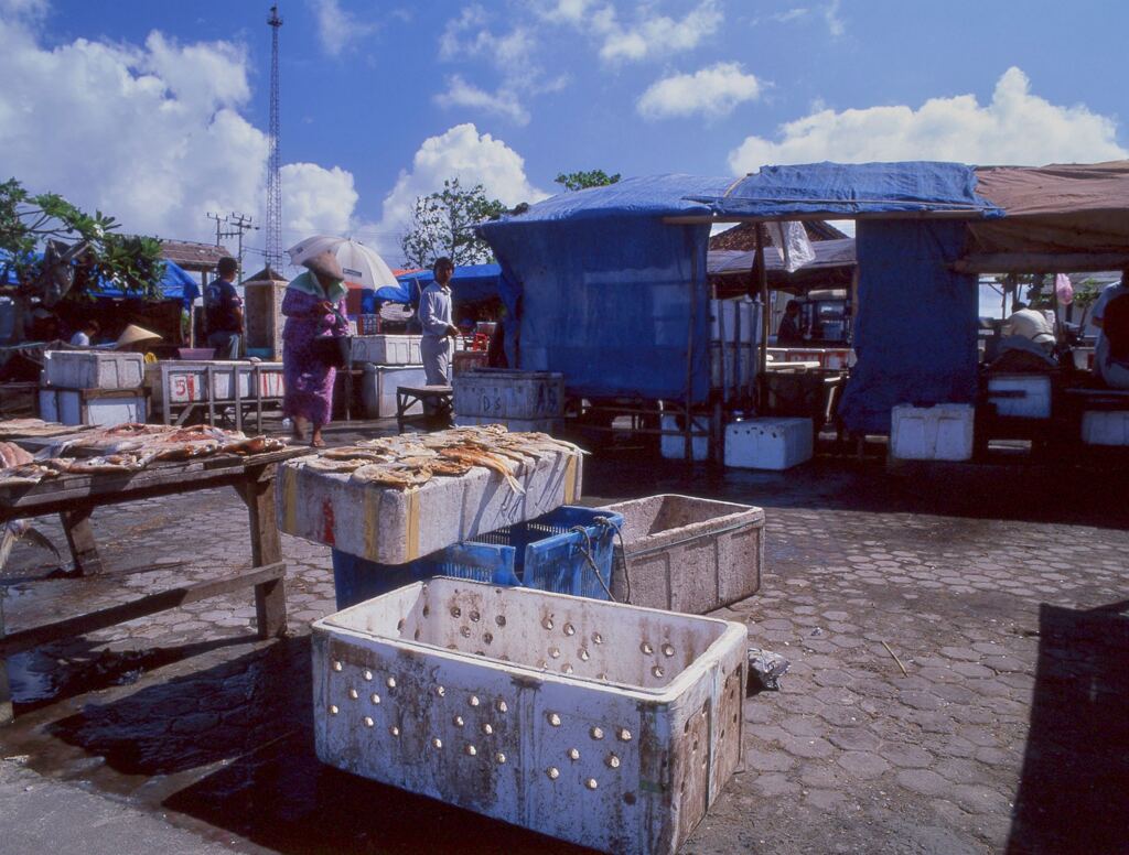 ケドンガナン魚市場