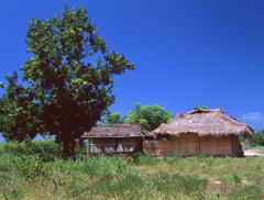 ロンボク島クタ村