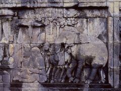 ボロブドゥールのレリーフ-15