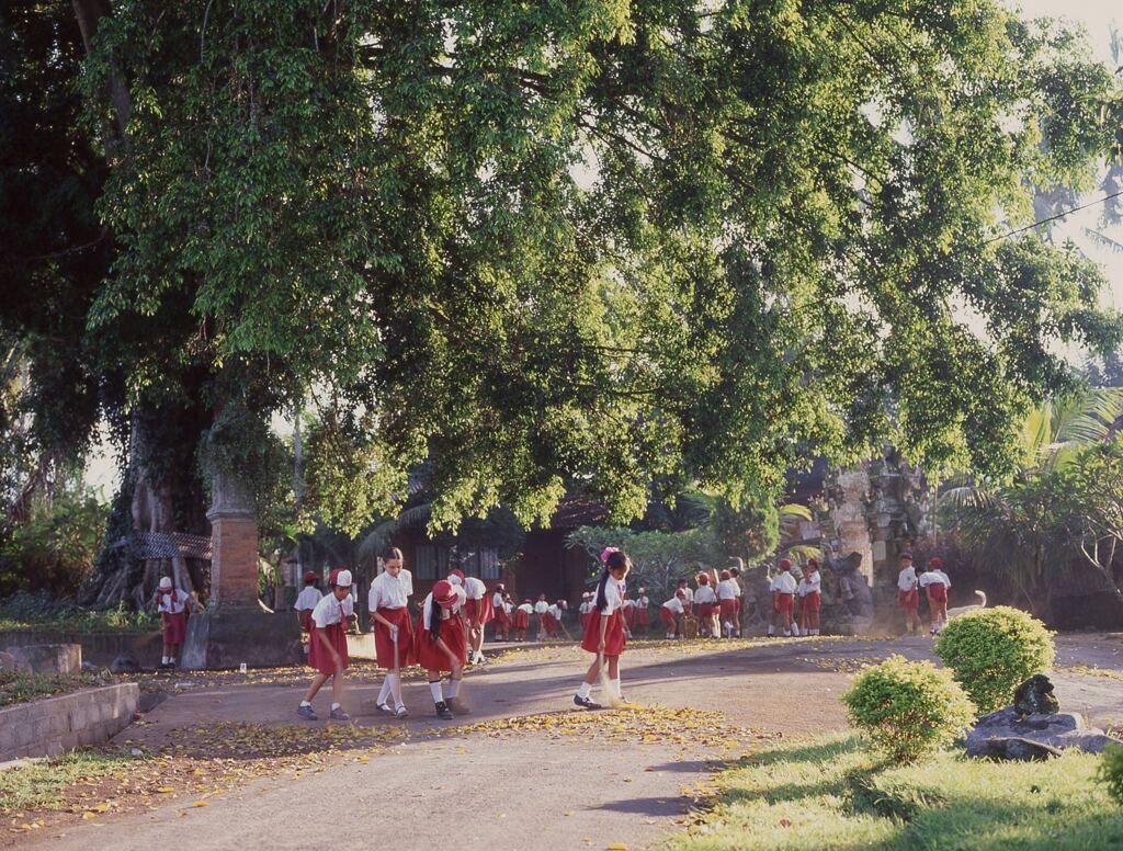 ニュークニン村の学校