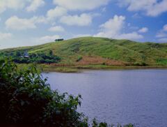 ワインガプ郊外