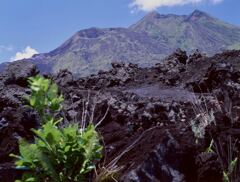 バトゥール山と溶岩原
