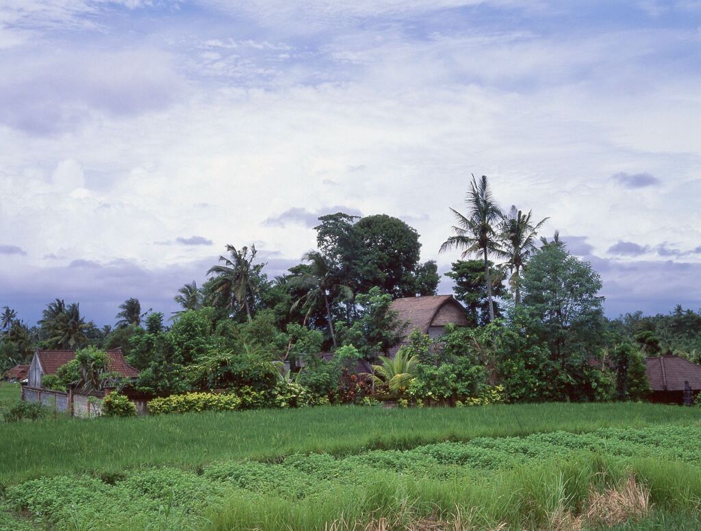 ニュークニン散策