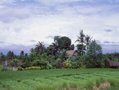 ニュークニン散策