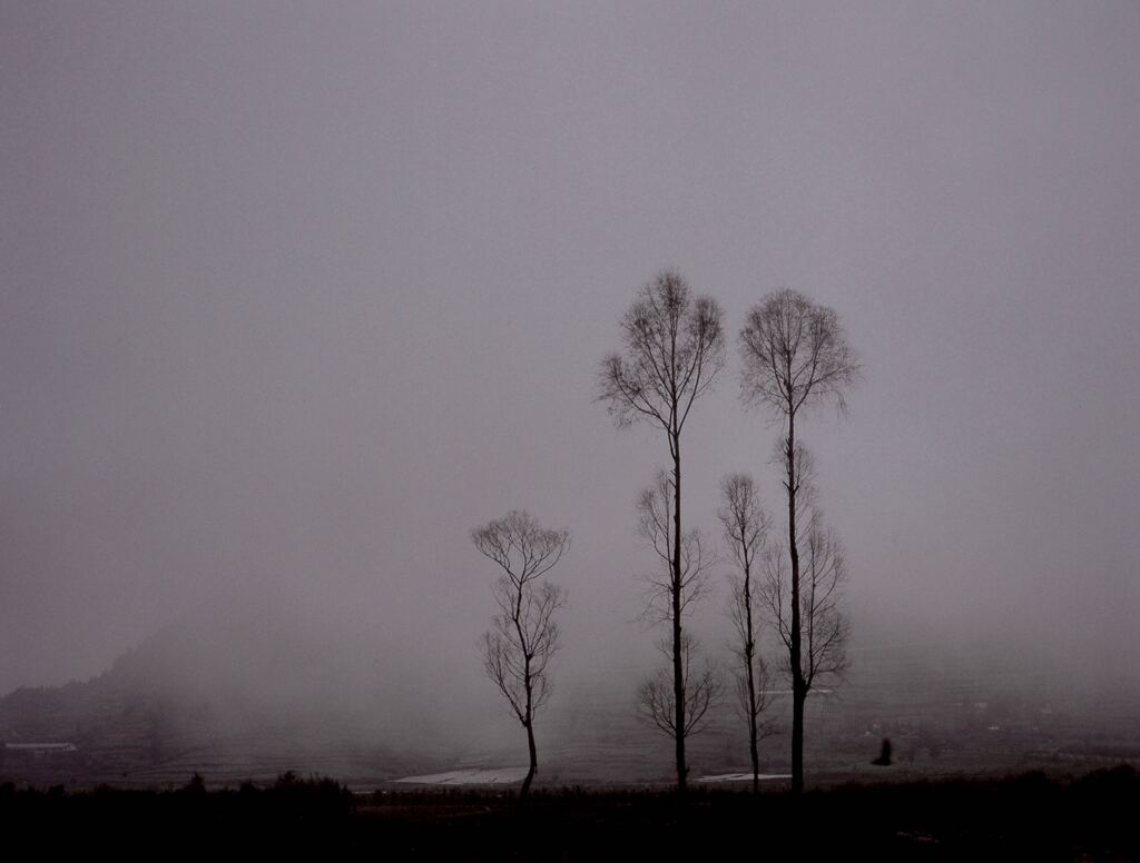 霧の風景