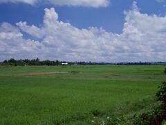 Lewa (レワ)村郊外