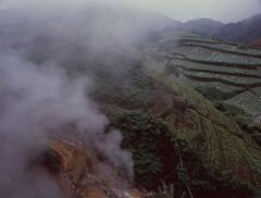 田園風景