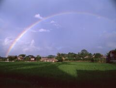 田園の虹