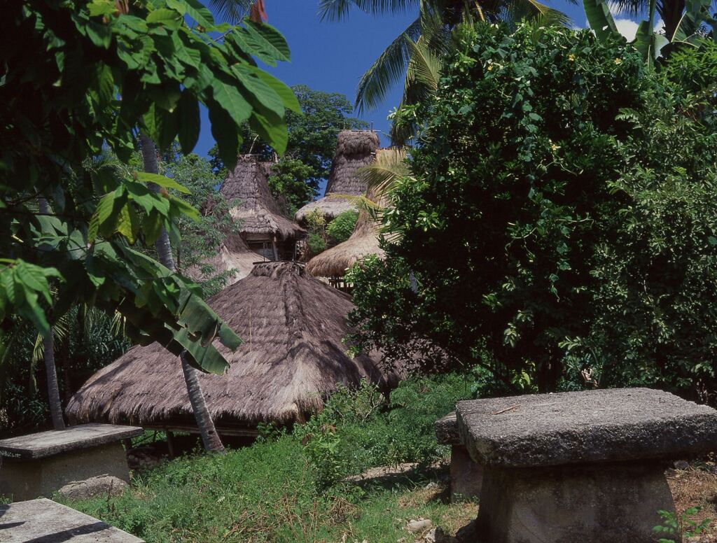 Kadengar (カデンガル) 村