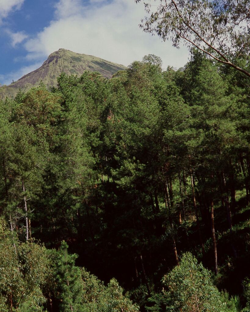 バトゥール山を望む