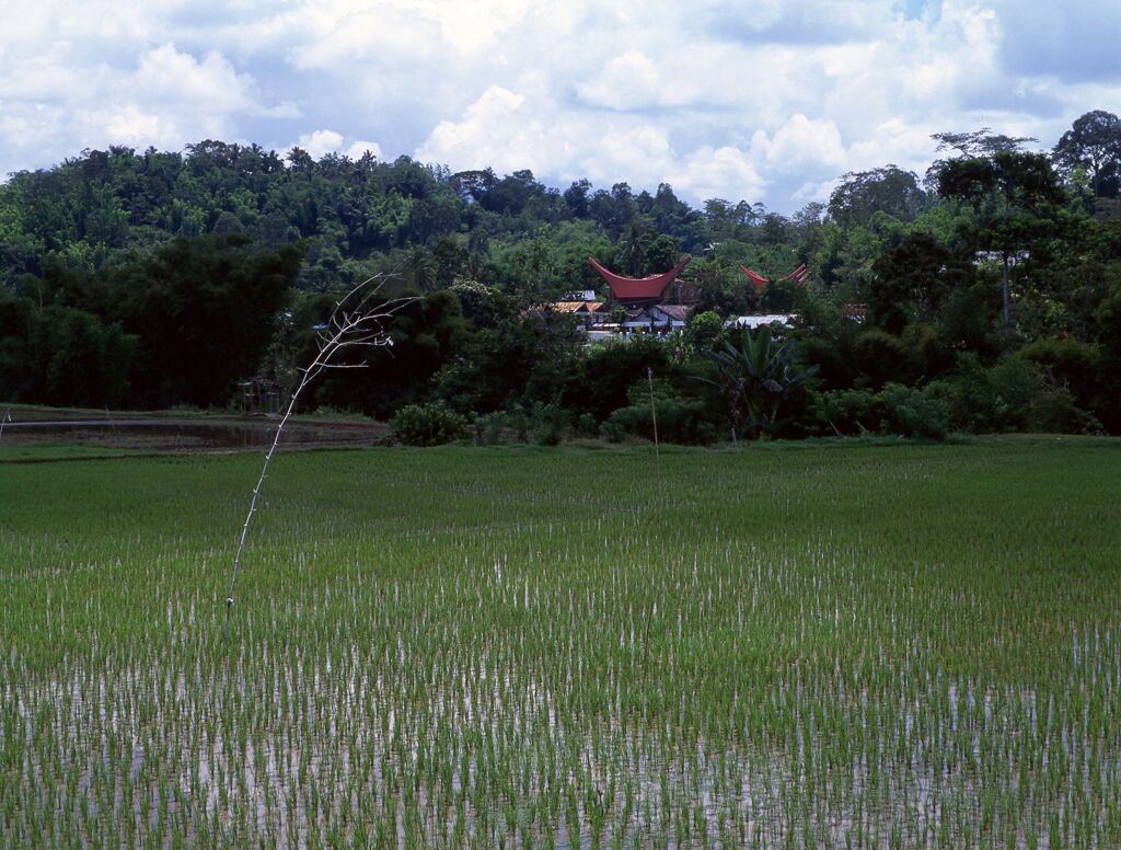 Mandetek (マンデテク)村