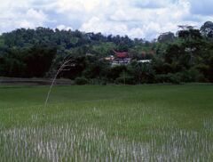 Mandetek (マンデテク)村