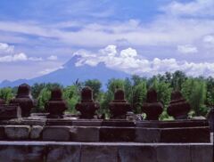 ムラピ山を望む