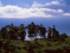 バトゥール湖を望む