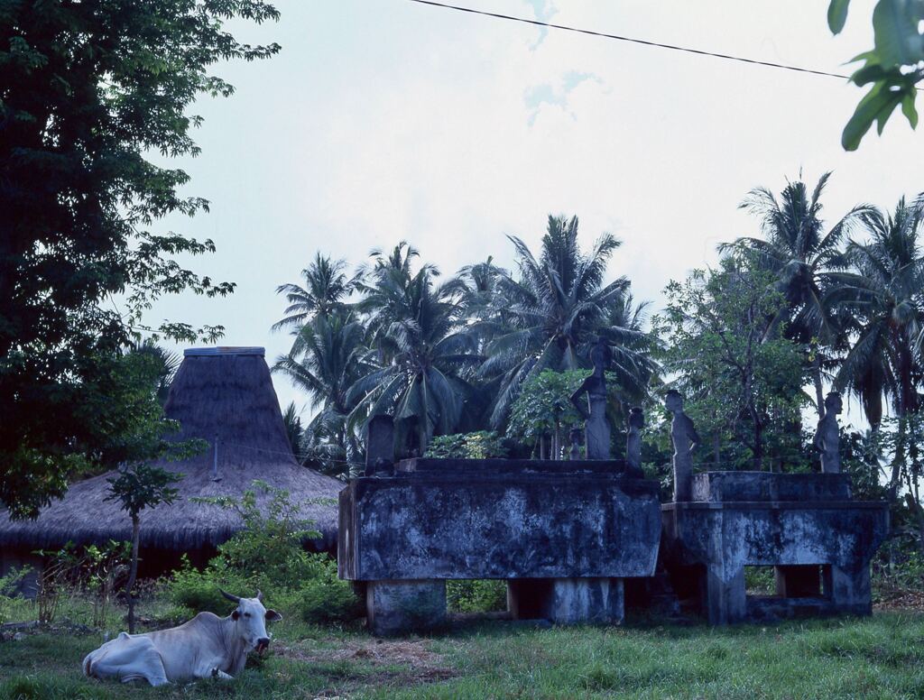 Kawangu (カワンガ)村の墓地