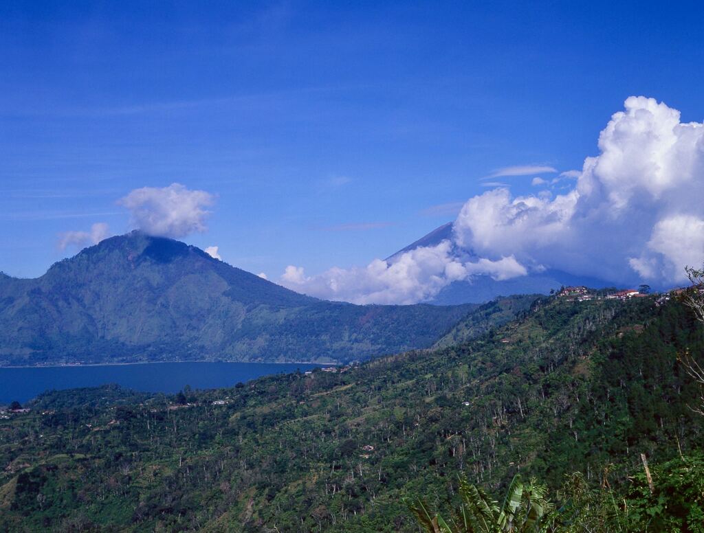 ペネロカンより