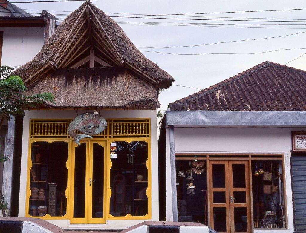 モンキーフォレスト通り