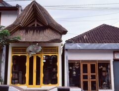 モンキーフォレスト通り