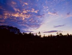ニュークニン村の夜明け