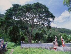 ブアハン村の寺院