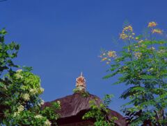 花と家寺