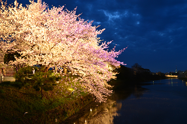 夜の帳