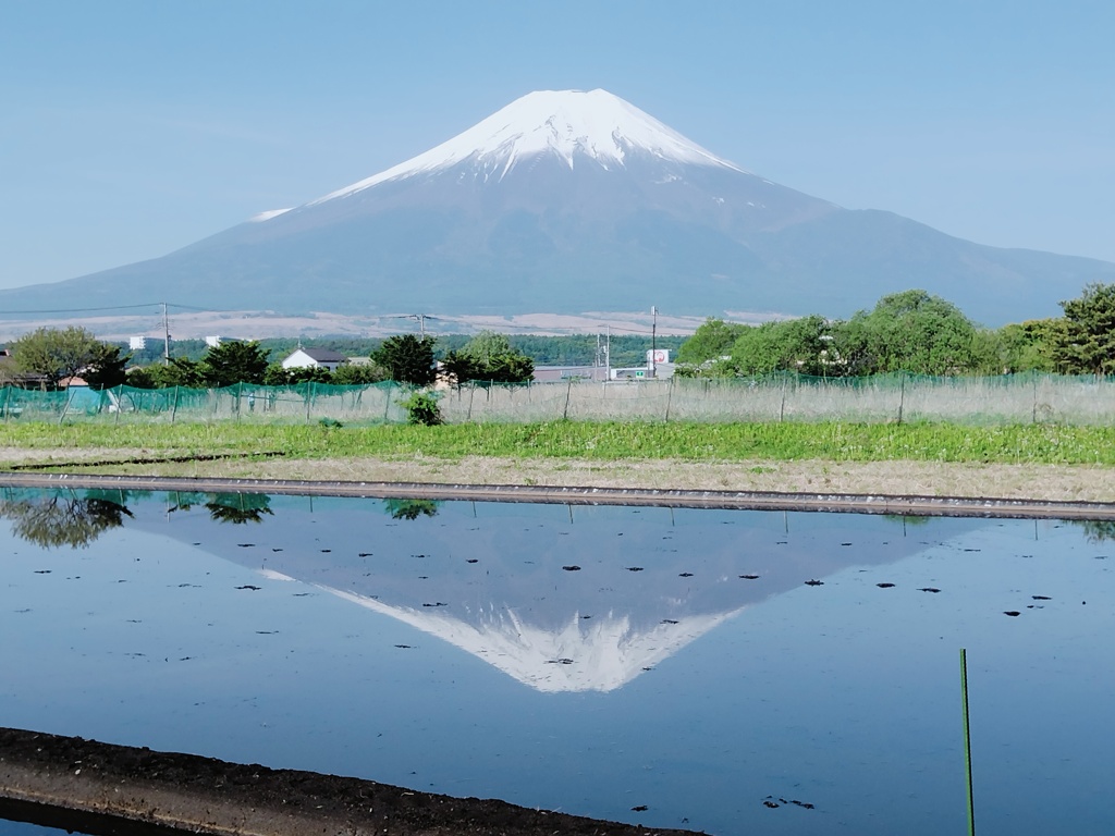 田んぼからの【逆さ富士】