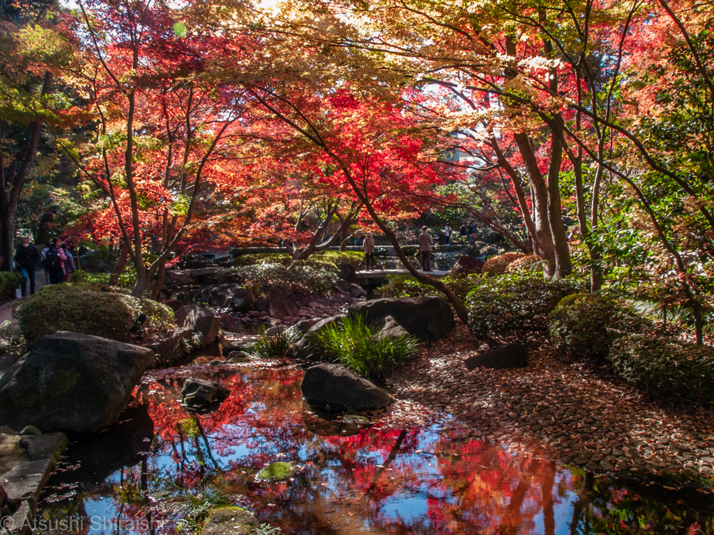 大田黒公園2021