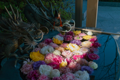 駒込・妙義神社