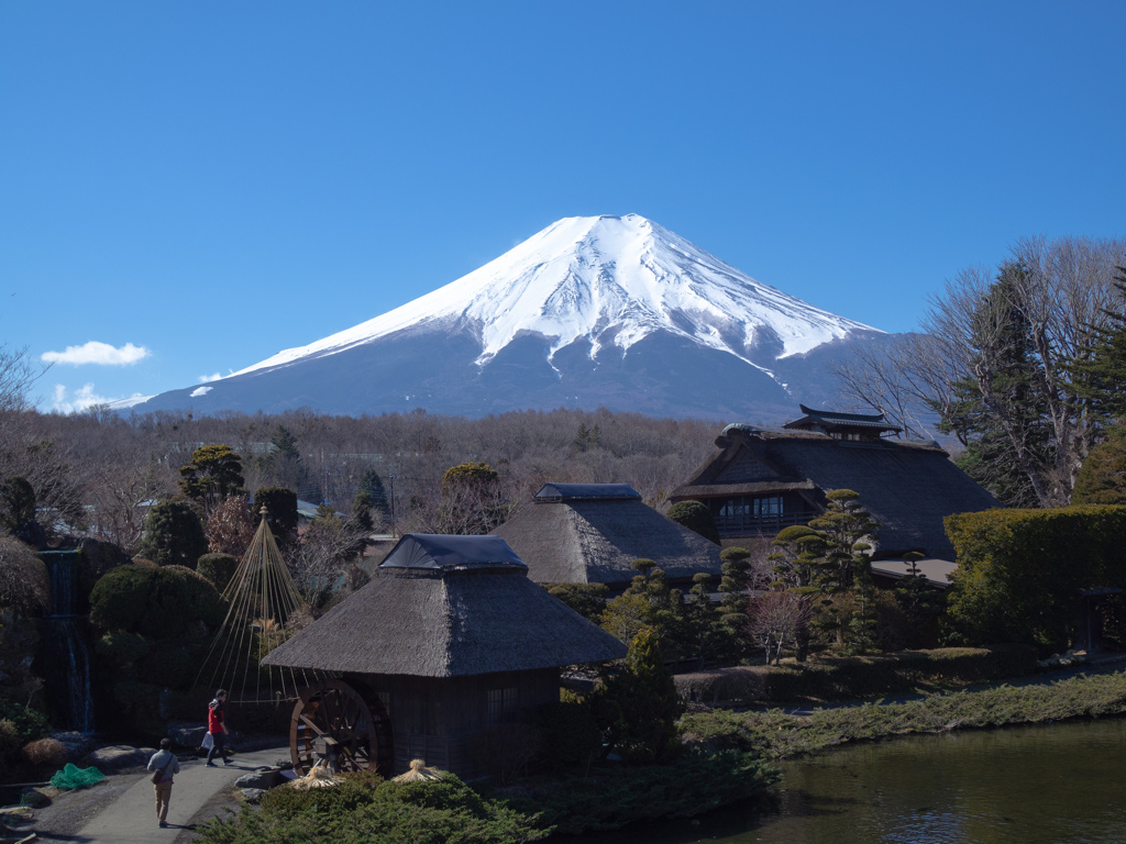 忍野八海