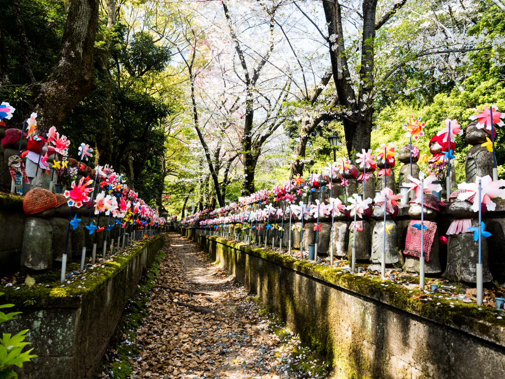 芝・増上寺