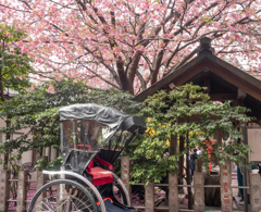 蔵前神社