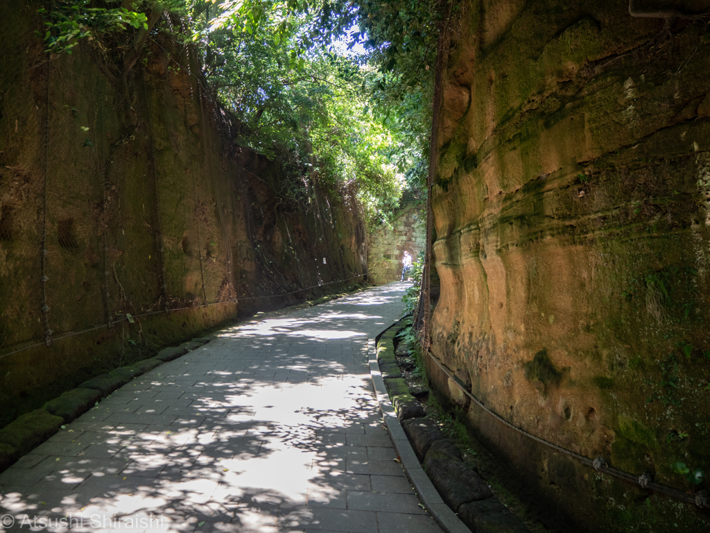 横須賀・猿島