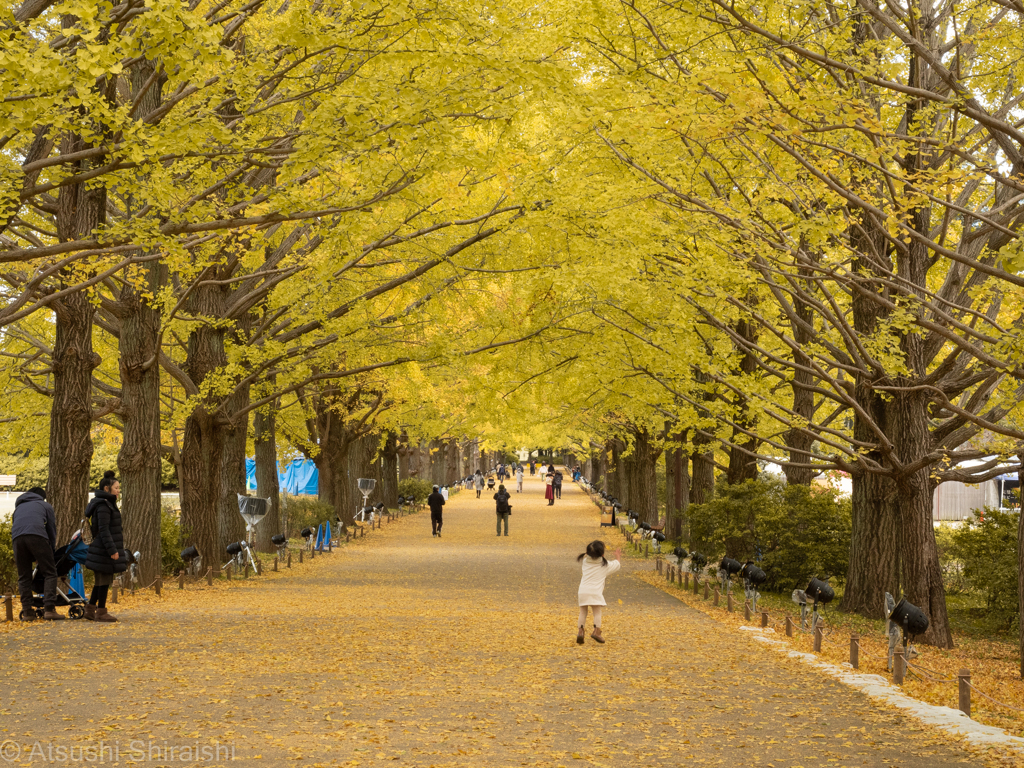 昭和記念公園