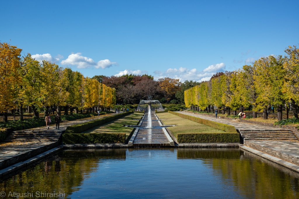 昭和記念公園2021