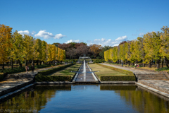 昭和記念公園2021