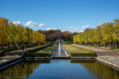 昭和記念公園2021
