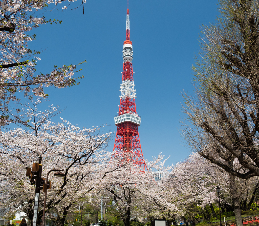 東京タワー