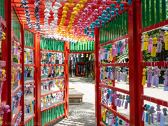田無神社　てるてるトンネル