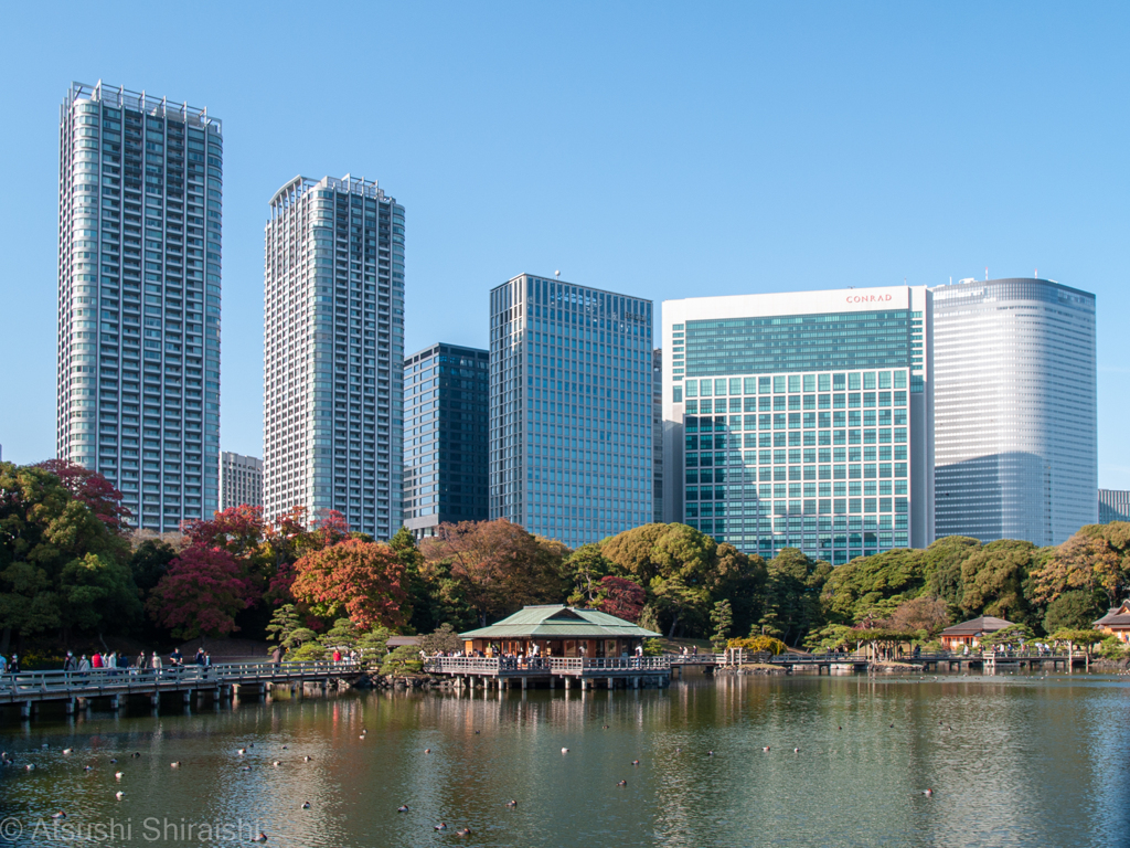 浜離宮恩賜庭園