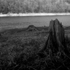 DSC_0021_00001