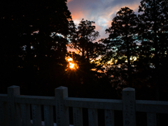 R0001345 iso200 f10 1-20