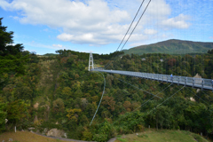 九重“夢”大吊橋①