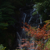 白糸の滝（福岡県糸島市）④