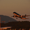 夕暮れのフライト①