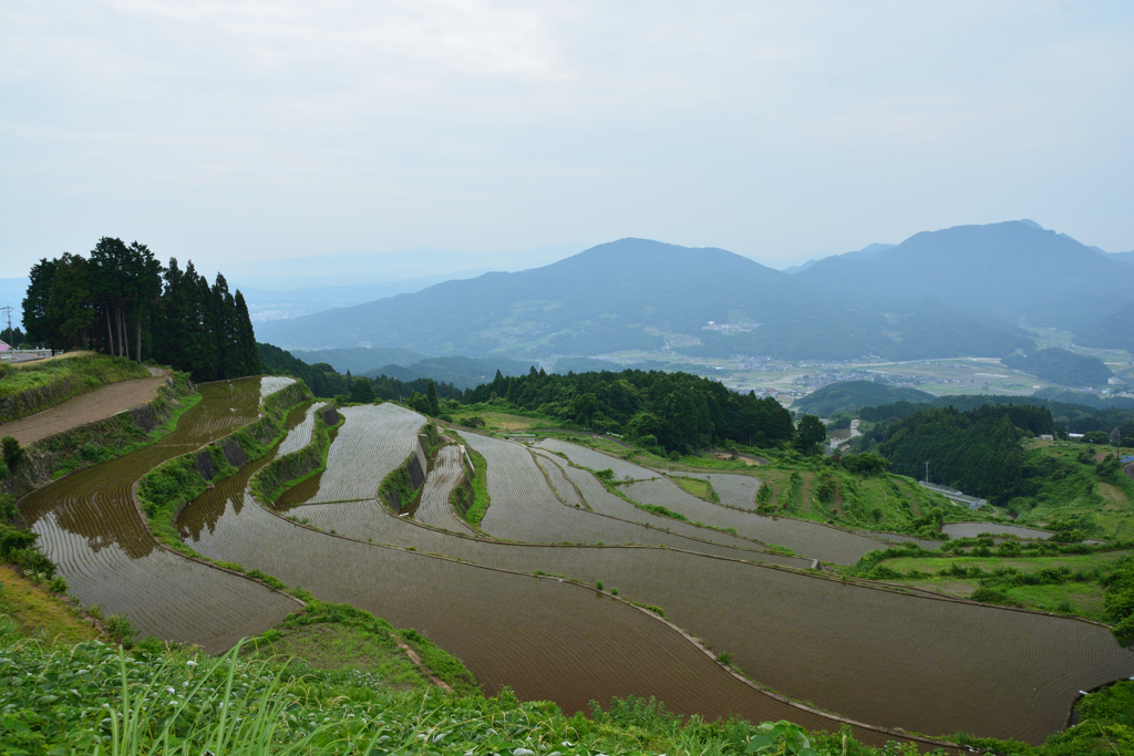 岳の棚田①