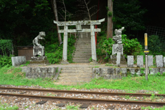 崎山八幡神社（狛犬スタイル）