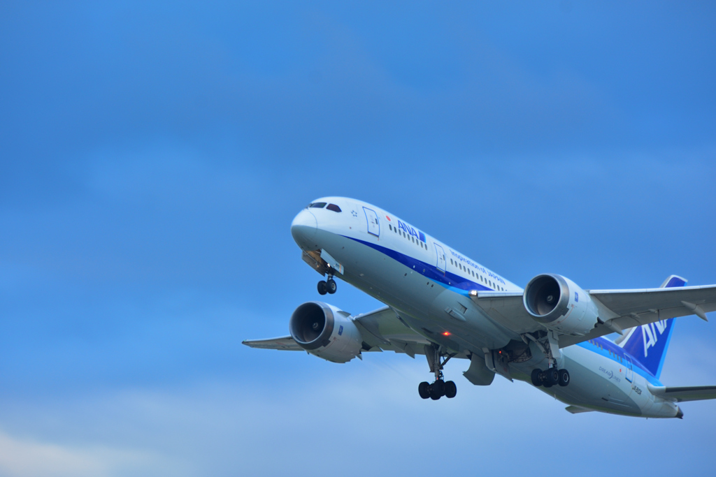 JA810A(210831)